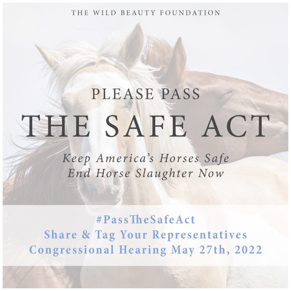 "Please Pass the SAFE Act" Graphic