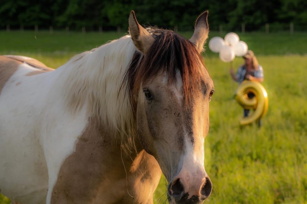 Stargazer Gazes into the Camera in a Photo Celebrating his 9th Birthday