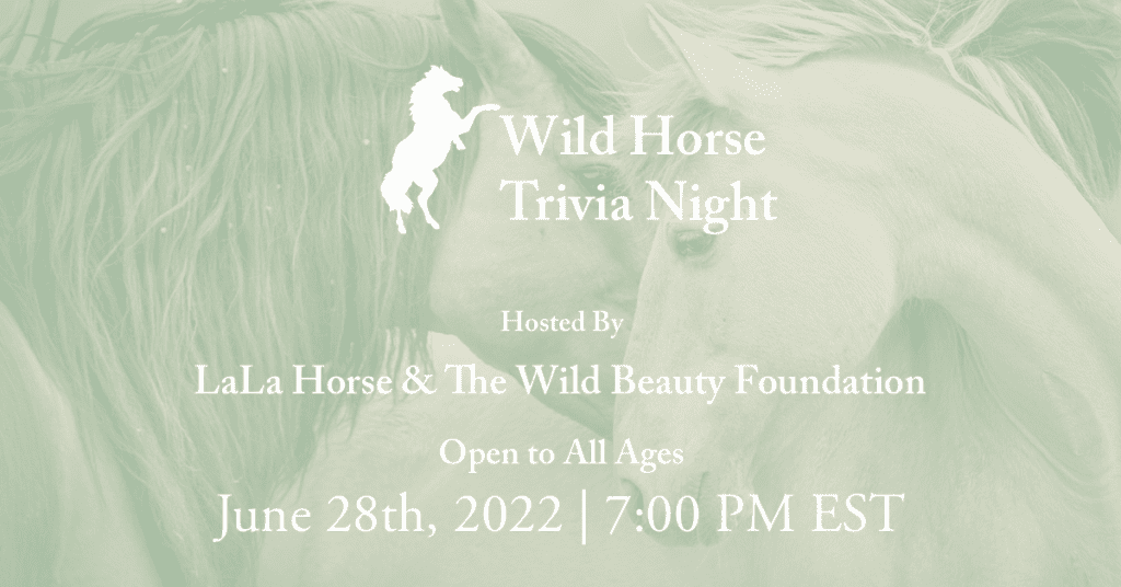 Wild Horse Trivia Night Graphic