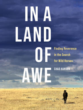 "In a Land of Awe" by Chad Hanson Book Cover