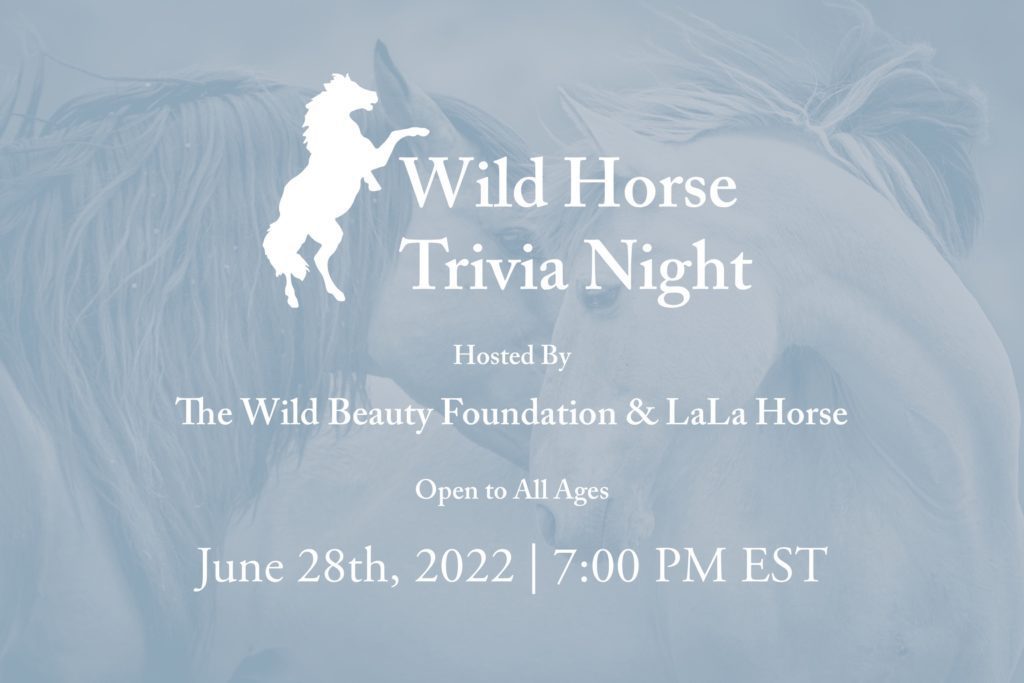 Wild Horse Trivia Night Graphic