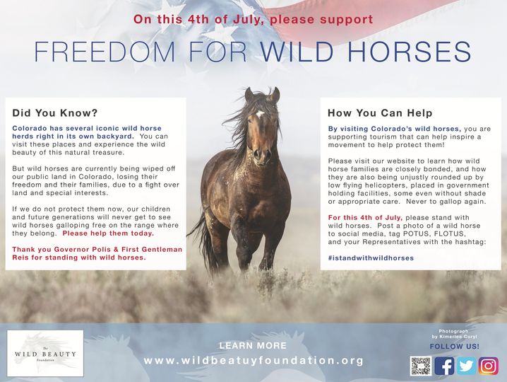 "Freedom for Wild Horses" Graphic