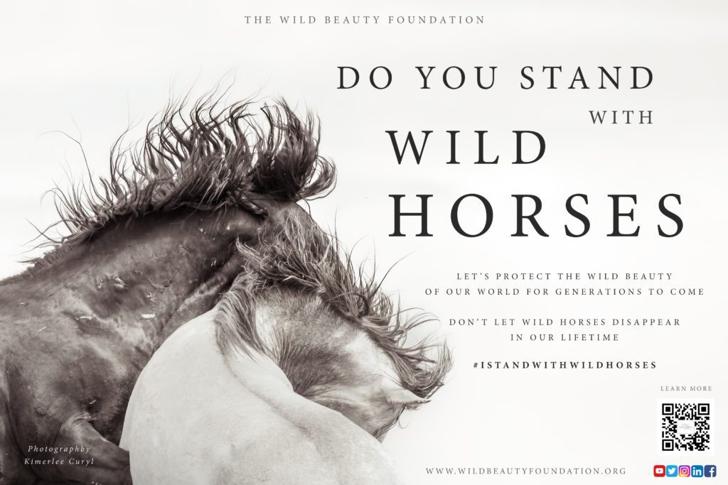 "Do You Stand with Wild Horses" Ad