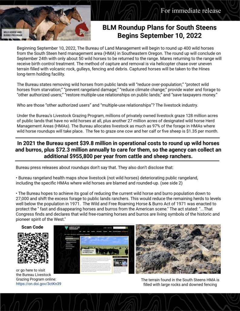 South Steens Fact SHeet by Save our Wild Horses part 1