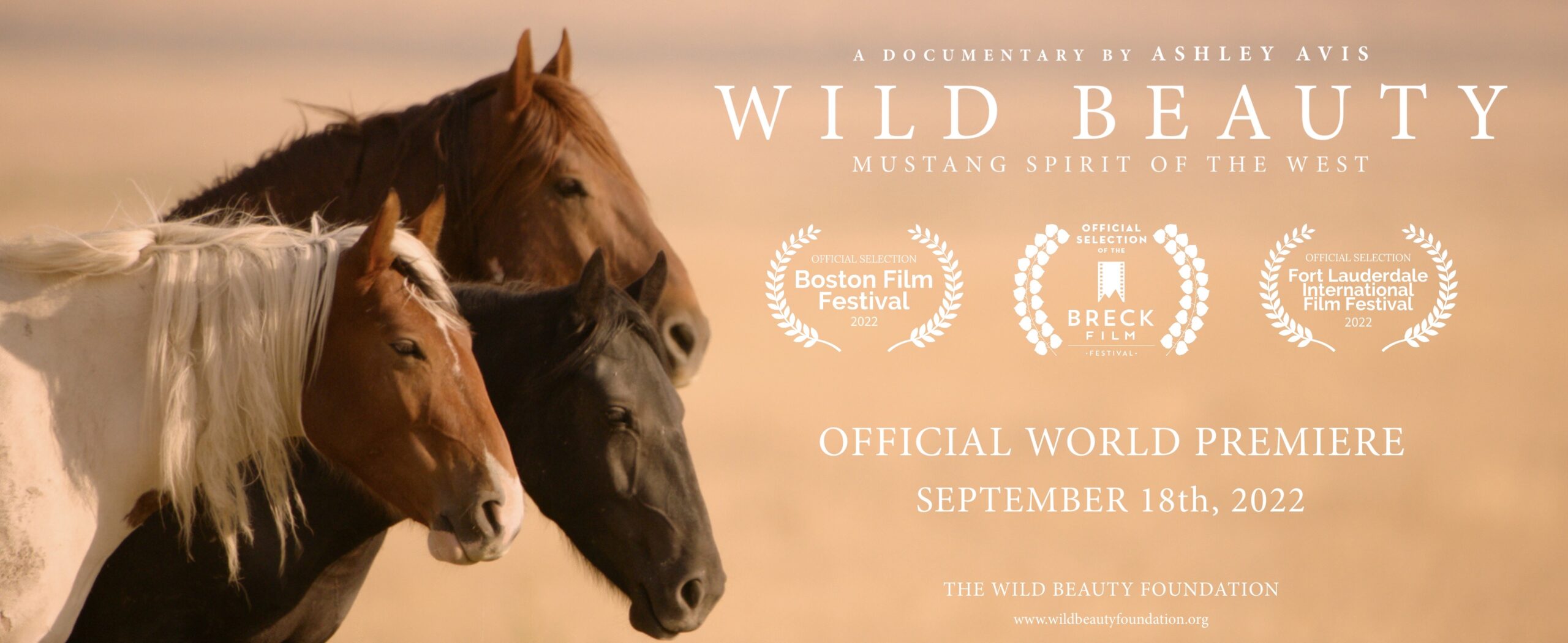 Wild Beauty: Mustang Spirit of the West Film Festival Graphic