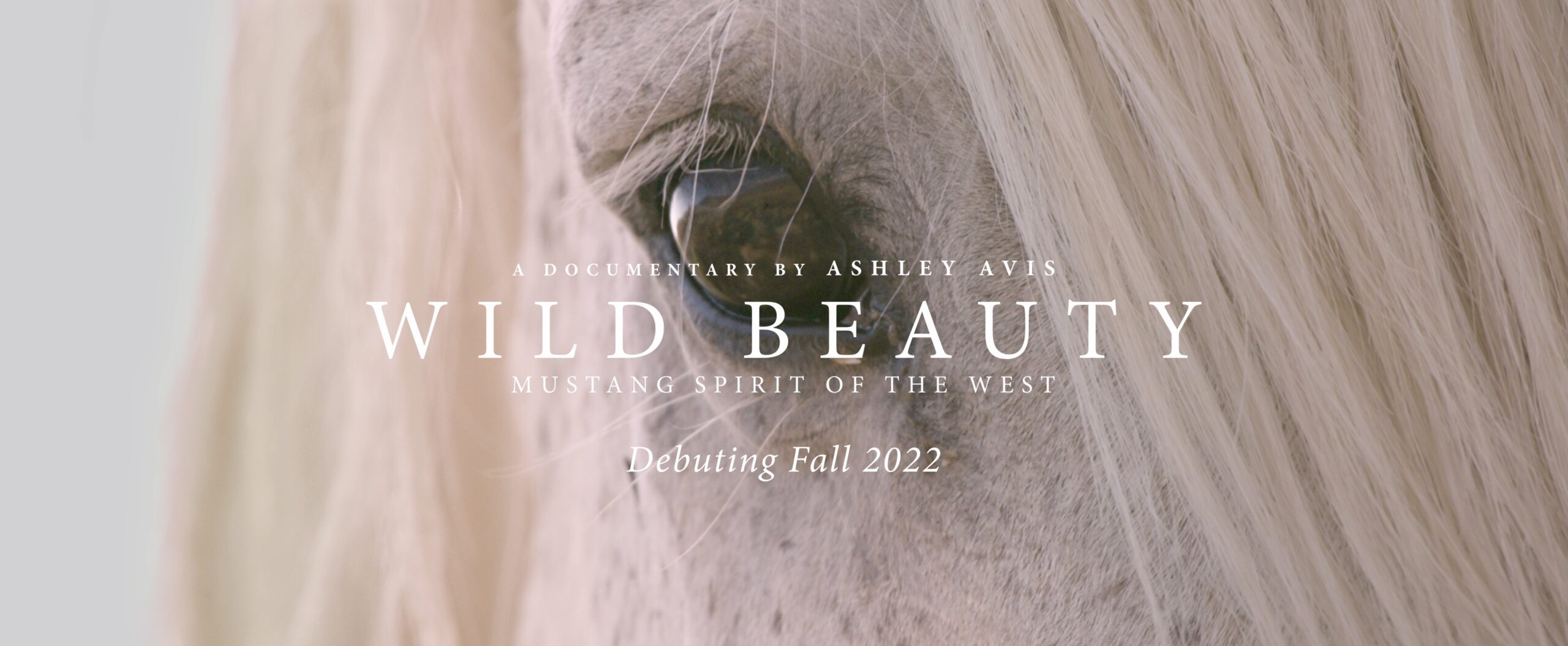 Wild Beauty Debut