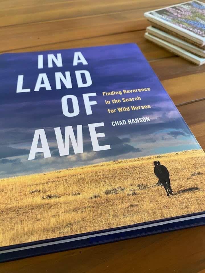 "In a Land of Awe" Book Cover