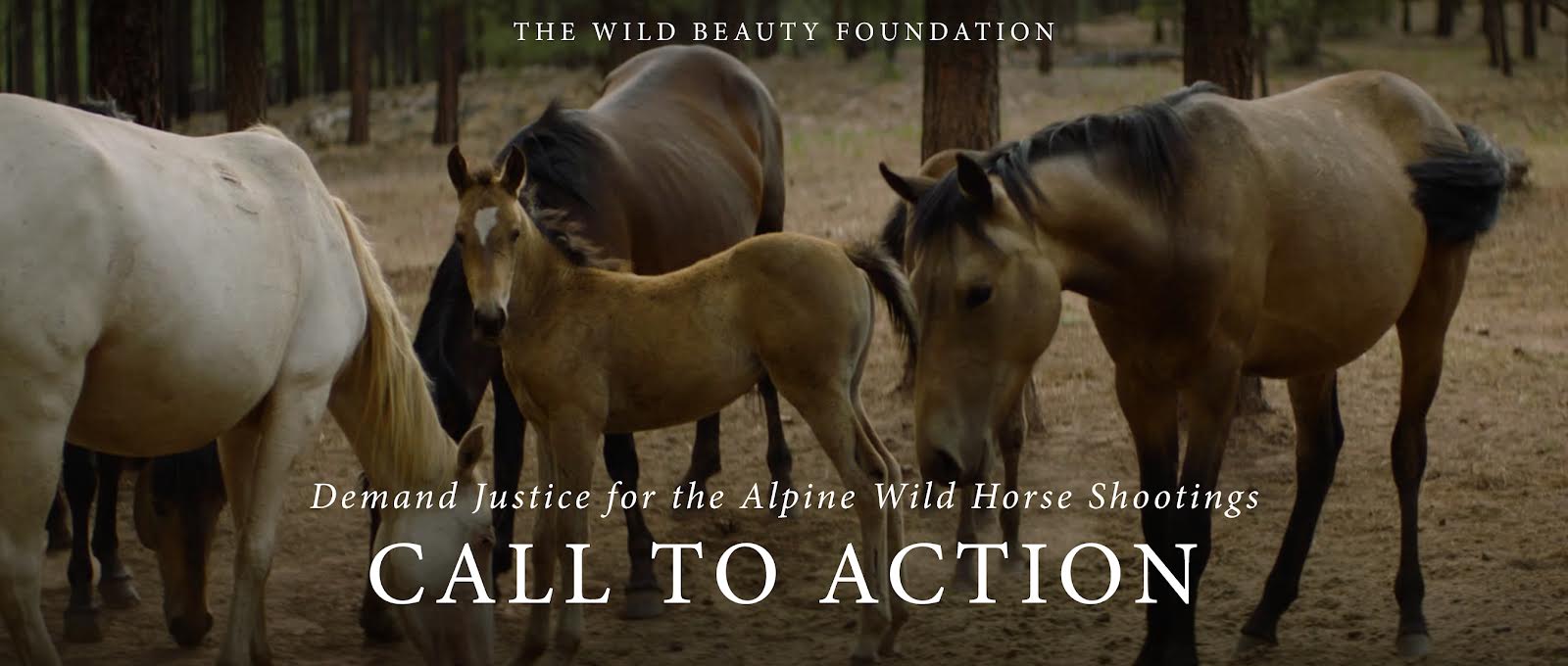Alpine Wild Horses Call to Action