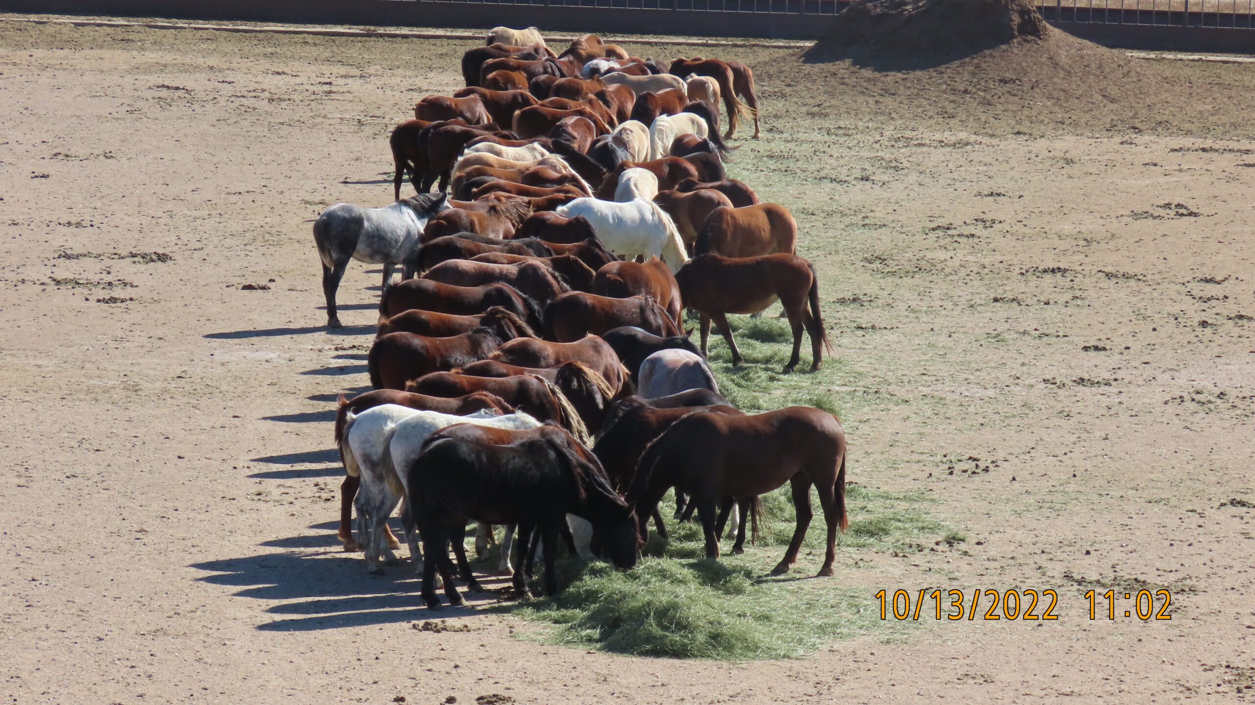 Wheatland Holding Facility by BLM