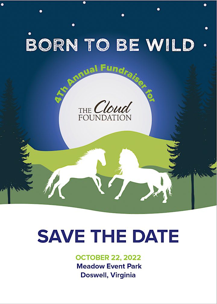 The Cloud Foundation's Born to be Wild Gala