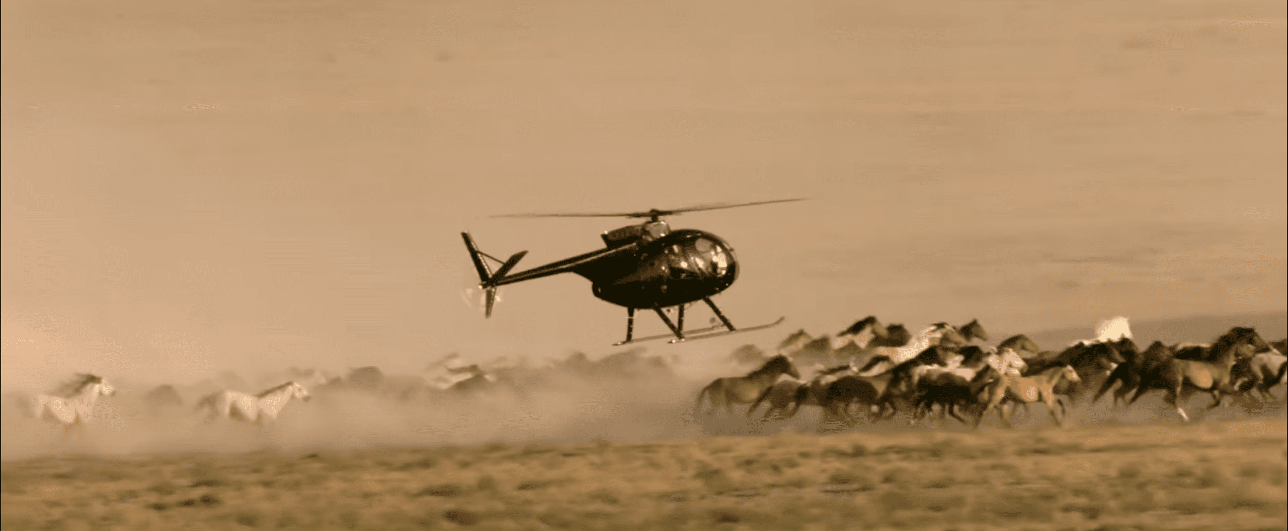 A low flying helicopter chases a herd of wild horses as the dust flies behind them.